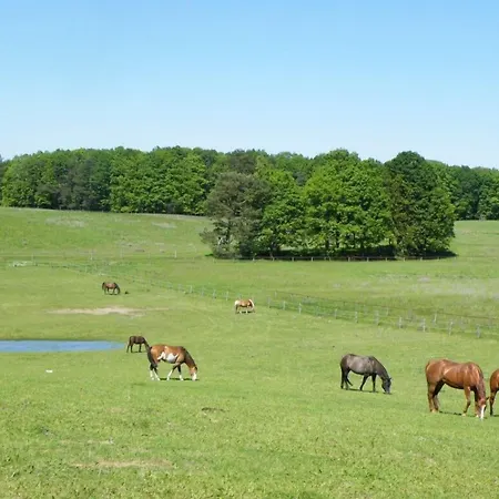 Hotel Gut Sarnow - Und Restaurant