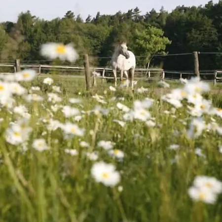 Gut Sarnow - Und Restaurant מלון שורפהייד