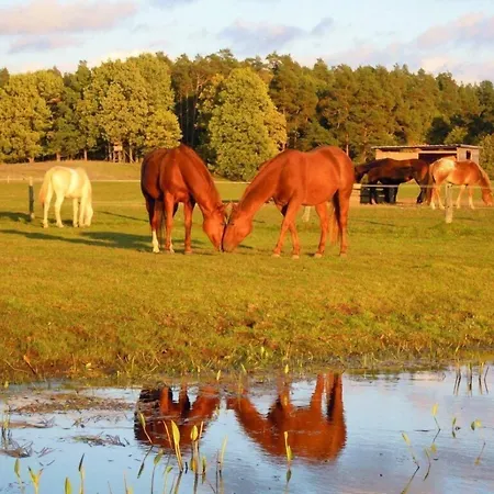 Gut Sarnow - Und Restaurant 3* Schorfheide