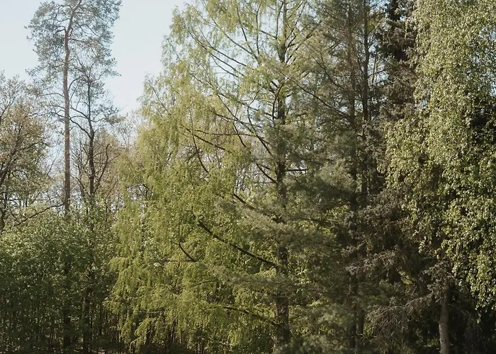 Hotel Gut Sarnow - Und Restaurant 3*