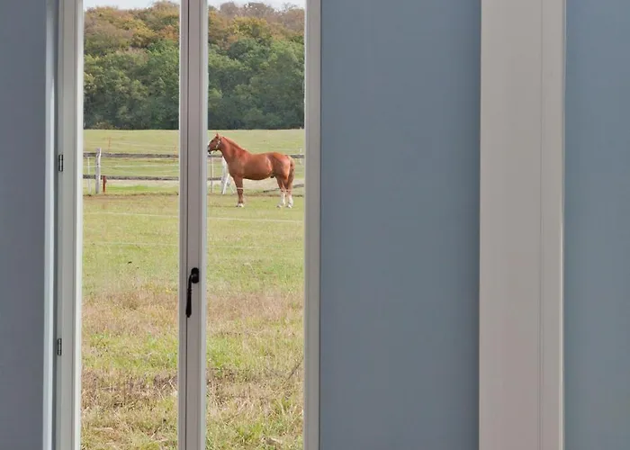 Gut Sarnow - Und Restaurant 3* Шорфхайде