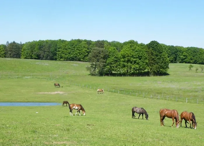 Hotel Gut Sarnow - Und Restaurant