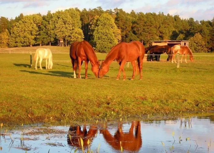 Gut Sarnow - Und Restaurant 3* Schorfheide